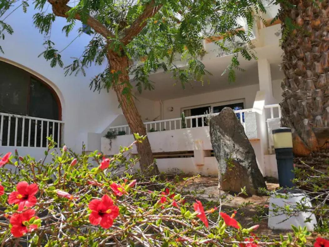 Comfortable Cleo Apartment With Large Terrace Costa Teguise Exterior foto